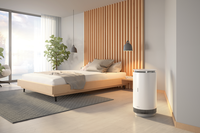 Oczyszczacz powietrza Viessmann typ Vitopure 350 - 3